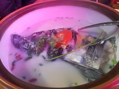 千岛湖浓汤鱼头-全乐鱼馆·淳牌有机鱼直营店
