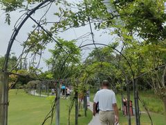 -上海长兴岛郊野公园