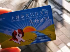 -顺强宠物诊所·狂犬免疫·夜诊·骨科(嘉定店)