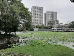 -荔湾湖公园