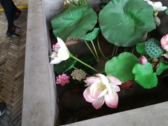 -灶东家民间菜(回兴店)