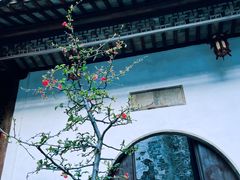 -青果巷历史文化街区