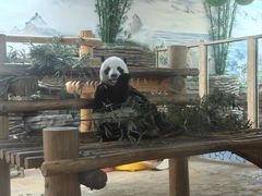 -西霞口神雕山野生动物世界