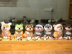 -柴务处·柴犬主题狗咖