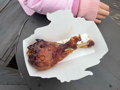 迪士尼火鸡腿-迪士尼火鸡腿