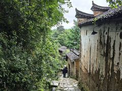 -杨家堂村