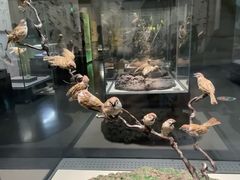 -天津自然博物馆