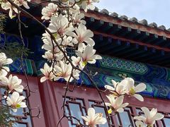 -大钟寺古钟博物馆
