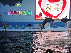 -蓬莱欧乐堡海洋极地世界