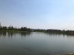 -羊山湖公园