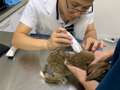 -喜多萌中农锦绣动物医院24H·猫科·牙科MRI·CT