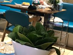 -青瓷火锅料理(西单大悦城店)