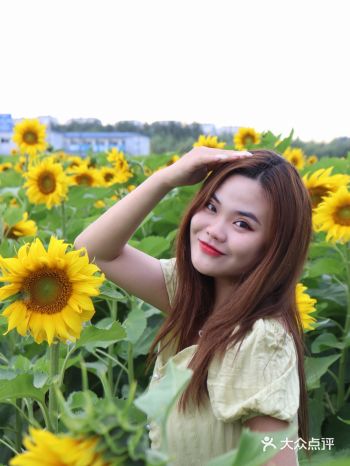 微笑拥抱每一天,做像向日葵般温暖的女子