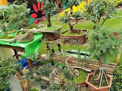 -重庆市江北嘴中央商务区中央公园