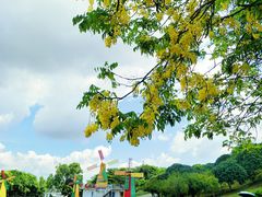 -松山湖梦幻百花洲