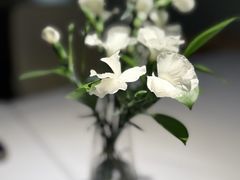 -屋里厢上海菜馆