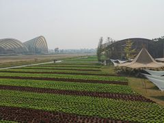 -中国天府农业博览园