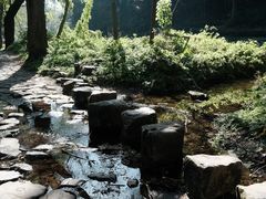 -龙井壹号·茶缘山景宴(龙井村店)