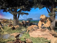 -国家自然博物馆