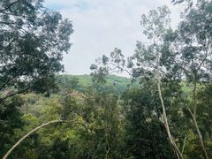 -广州市白云山风景名胜区