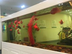 -慈铭体检(洋桥分院)