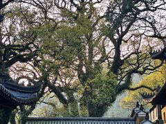-普陀山风景名胜区-法雨禅寺