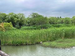 -沙家浜风景区