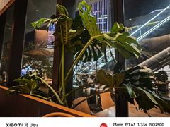 -SHAN山(前滩太古里店)