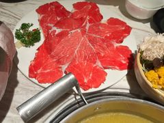 -汤城·料青山