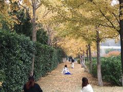 -金陵图书馆