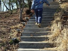 -莫子山公园