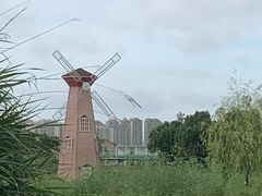 -三垟湿地