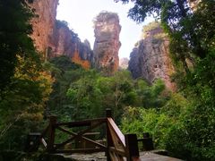 -雁荡山风景名胜区
