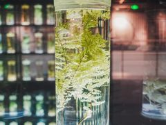 -广东中医药博物馆