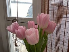 -花小醉露营烤肉·下午茶餐吧(熙南里店)