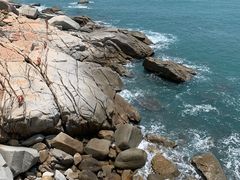 -广东惠东海龟国家级自然保护区