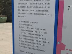 -秀丽东方