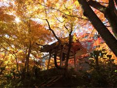 常寂光寺-常寂光寺