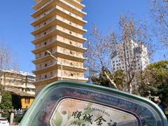 -顺城金记卤鸡·清真