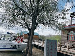 -珍宝岛