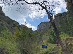 -雁荡山雁湖景区