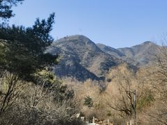 -北京鹫峰国家森林公园