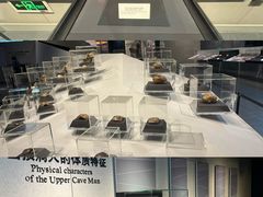 -北京周口店北京人遗址博物馆