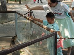 -红光农场·露营·亲子·采摘