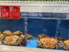 -北塘海鲜·天津菜(大光明桥旗舰店)