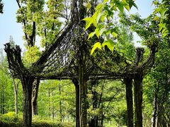 -浙江农林大学(东湖校区)