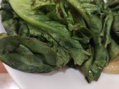 白灼罗马生菜-甲乙饼(丽泽天地店)