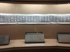 -烟台市博物馆