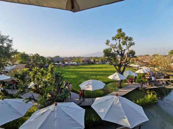 jungle de cafe(baan tawai)-"这是在清迈郊区的一个网红咖啡馆… .