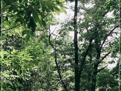 -北京上方山国家森林公园